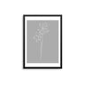 Grey Flowers Outline - D'Luxe Prints