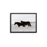Horses In Love - D'Luxe Prints