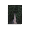 Jungle Bridge - D'Luxe Prints