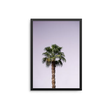 Lavender Palm Tree - D'Luxe Prints