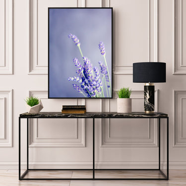 Lavender Plant - D'Luxe Prints