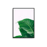 Leaf Zoom - D'Luxe Prints