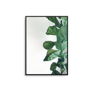 Leafy Plant - D'Luxe Prints