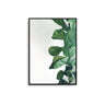Leafy Plant - D'Luxe Prints