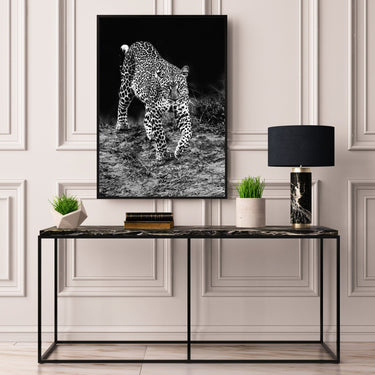 Leopard Prowl - D'Luxe Prints