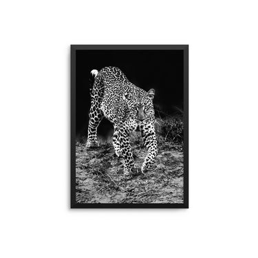 Leopard Prowl - D'Luxe Prints