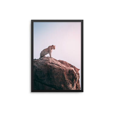 Leopard Reign - D'Luxe Prints