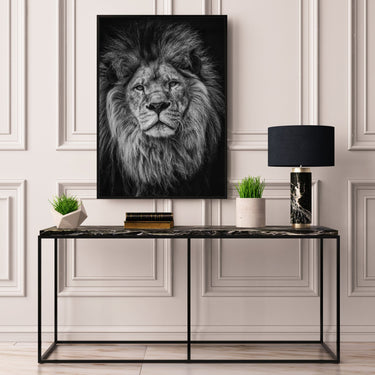 Lion Monochrome - D'Luxe Prints