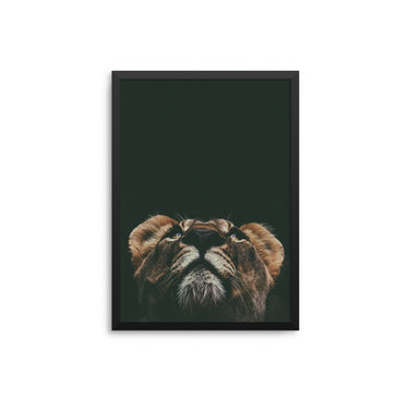 Lioness View - D'Luxe Prints
