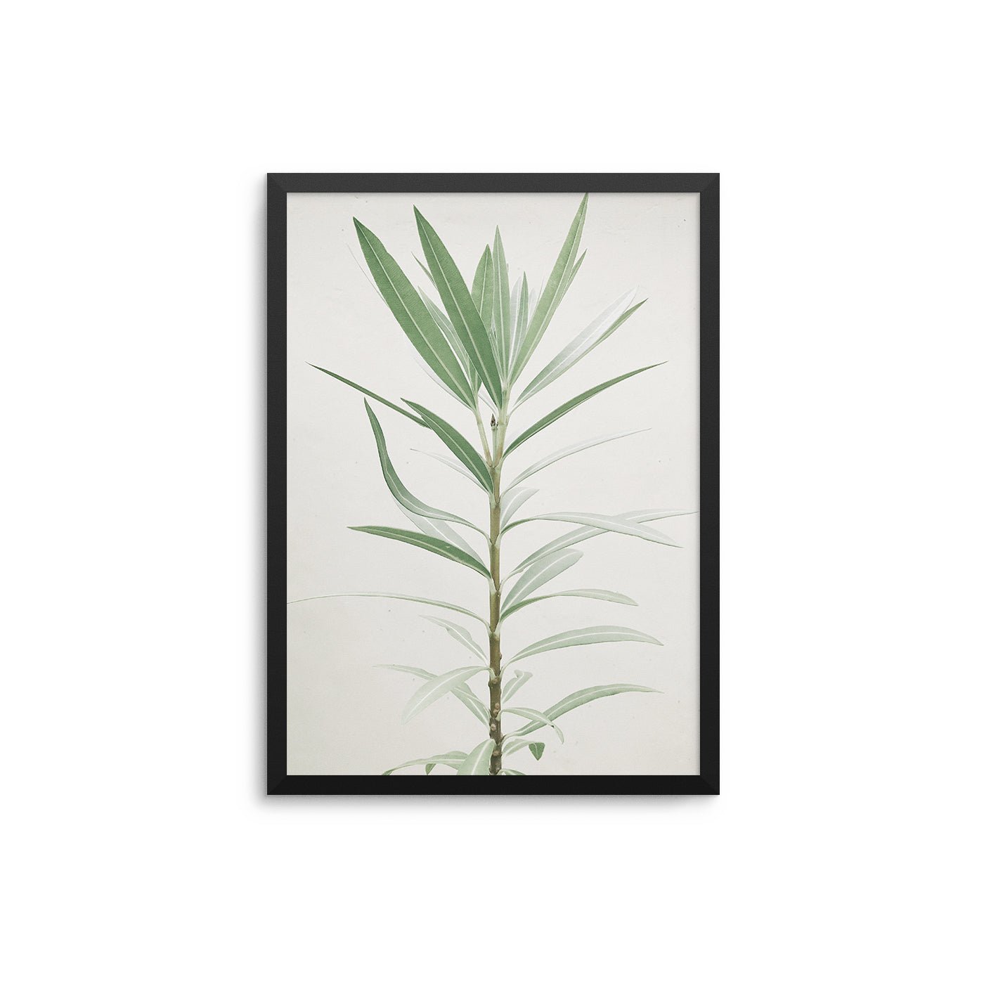 Minimal Plant - D'Luxe Prints