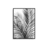 Mono Palms - D'Luxe Prints
