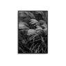 Mono Reeds - D'Luxe Prints