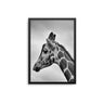 Monochrome Giraffe - D'Luxe Prints