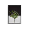 Monochrome Tree - D'Luxe Prints