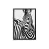 Monochrome Zebra - D'Luxe Prints