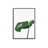 Monstera Leaf - D'Luxe Prints