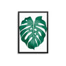 Monstera Palm Leaf - D'Luxe Prints