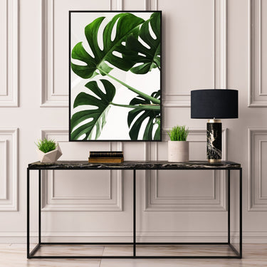 Monstera Plant - D'Luxe Prints