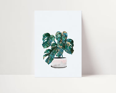 Monstera Plant Poster - D'Luxe Prints
