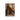 Moroccan Staircase - D'Luxe Prints