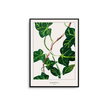 Murgrona Leaves - D'Luxe Prints