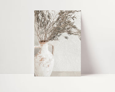 Olive Branches - D'Luxe Prints