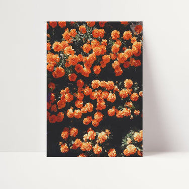 Orange Flowerbed - D'Luxe Prints