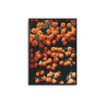 Orange Flowerbed - D'Luxe Prints
