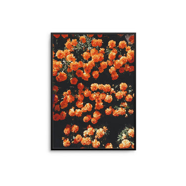 Orange Flowerbed - D'Luxe Prints