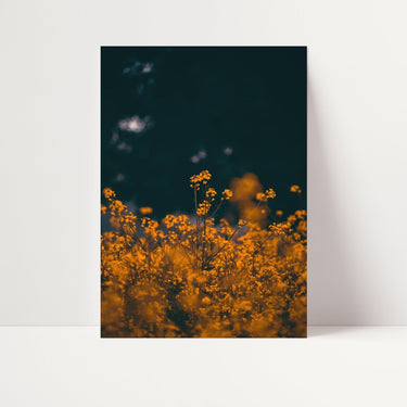 Orange Meadows - D'Luxe Prints