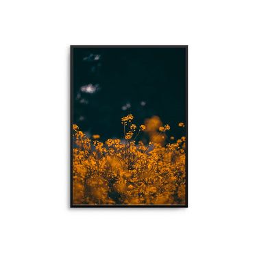 Orange Meadows - D'Luxe Prints