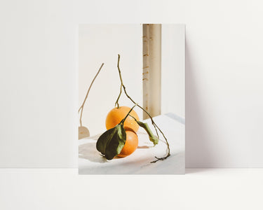 Orange Picking II - D'Luxe Prints