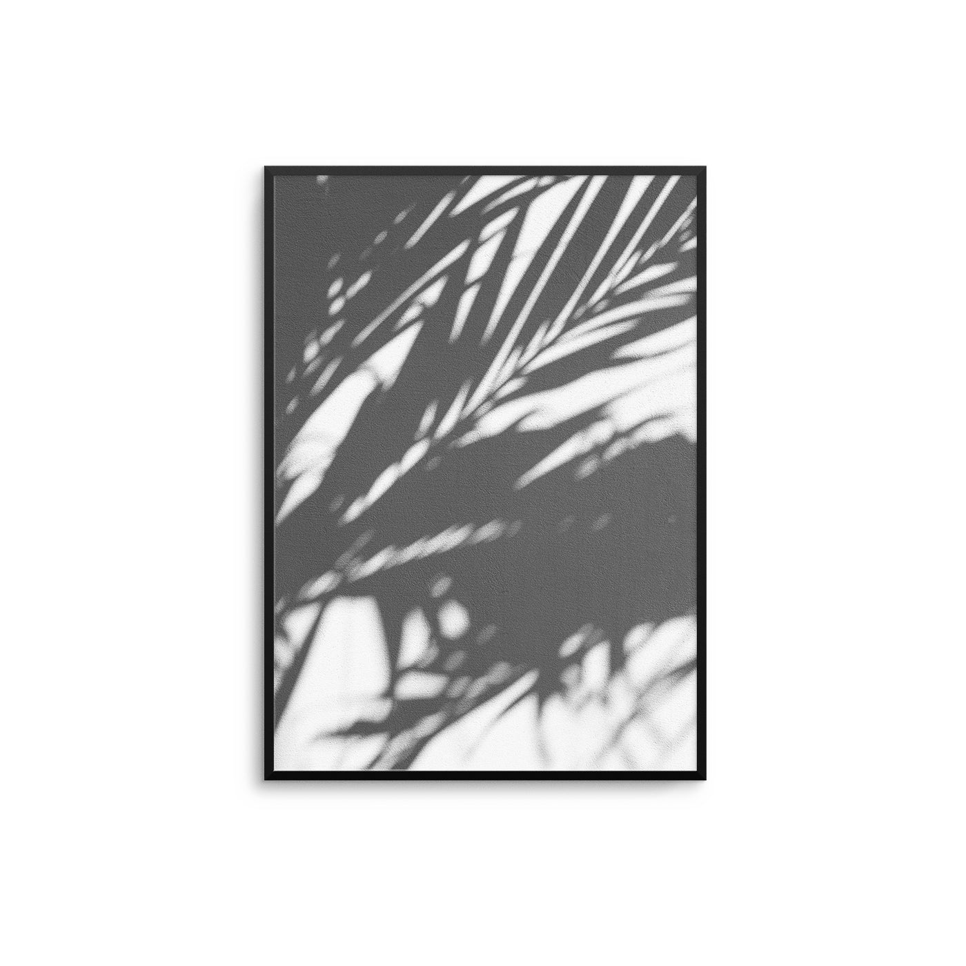 Palm Shadows - D'Luxe Prints