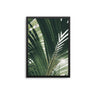 Palm & Sunshine - D'Luxe Prints