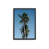 Palm Tree Trio - D'Luxe Prints
