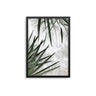 Palm Wall - D'Luxe Prints