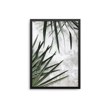 Palm Wall - D'Luxe Prints
