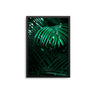 Palms - D'Luxe Prints
