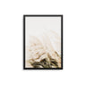 Pampas Breeze - D'Luxe Prints