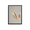 Pampas Close Up - D'Luxe Prints