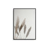 Pampas Shadows - D'Luxe Prints
