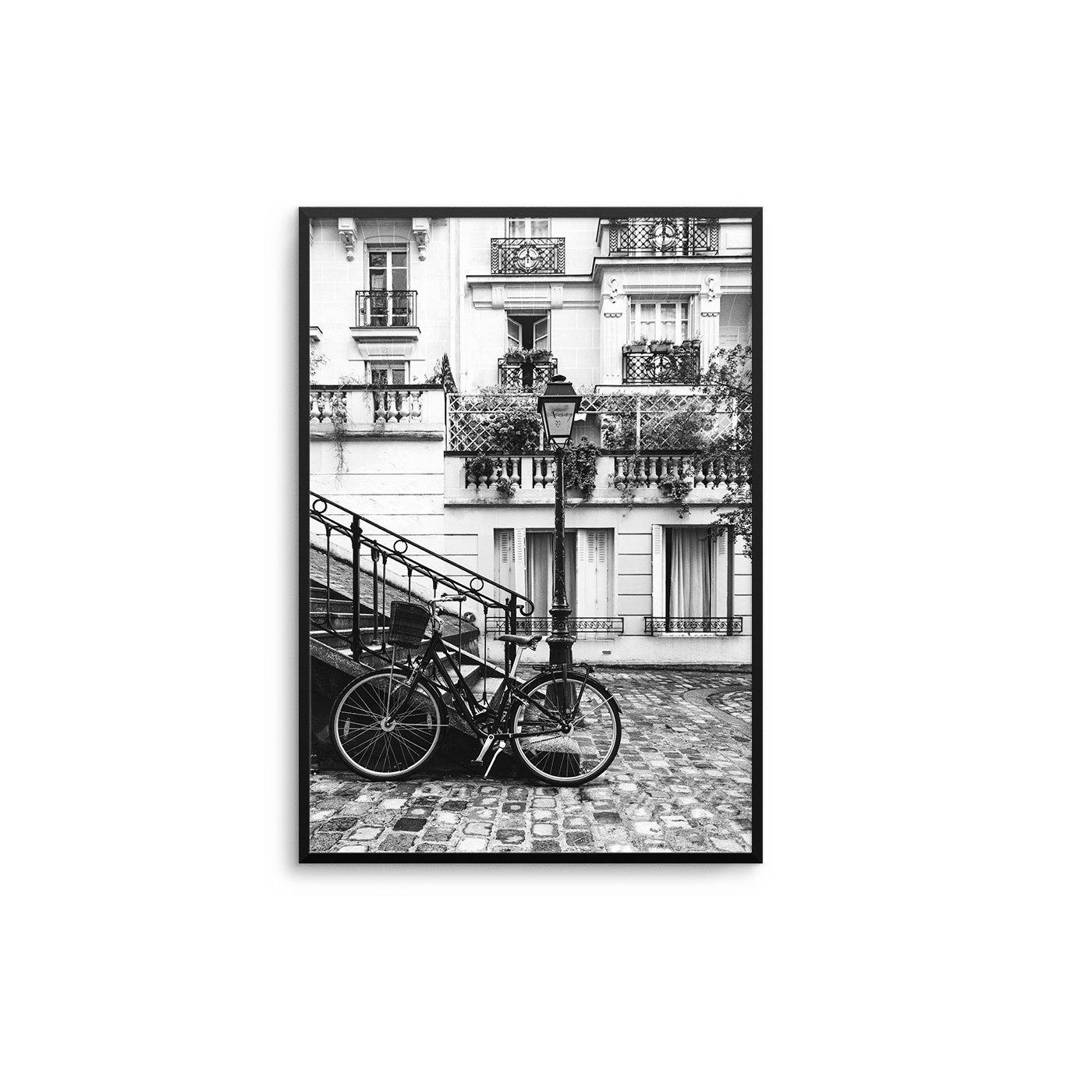 Paris Lane - D'Luxe Prints