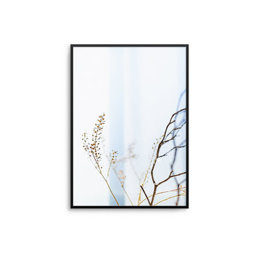 Pastel Reeds - D'Luxe Prints