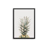 Peeking Pineapple - D'Luxe Prints