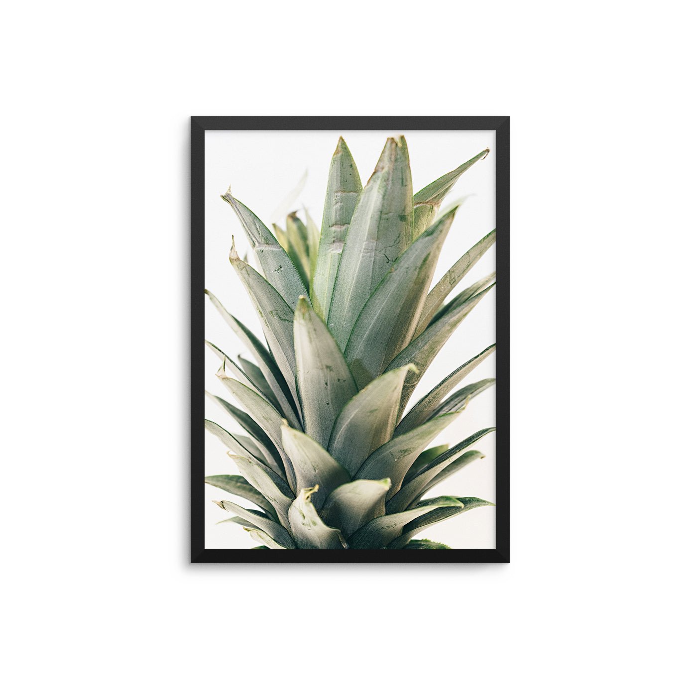 Pineapple Crown - D'Luxe Prints