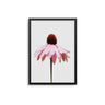 Pink Daisy - D'Luxe Prints