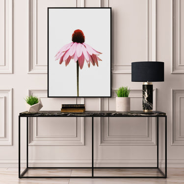 Pink Daisy - D'Luxe Prints