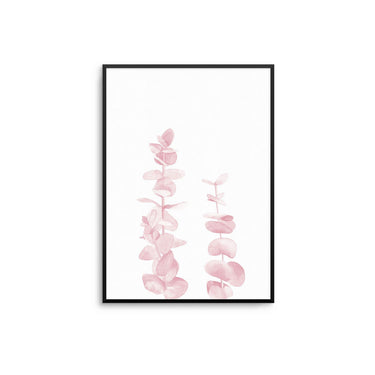 Pink Eucalyptus - D'Luxe Prints