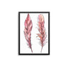 Pink Feather Duo - D'Luxe Prints