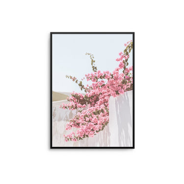 Pink Flower Wall - D'Luxe Prints